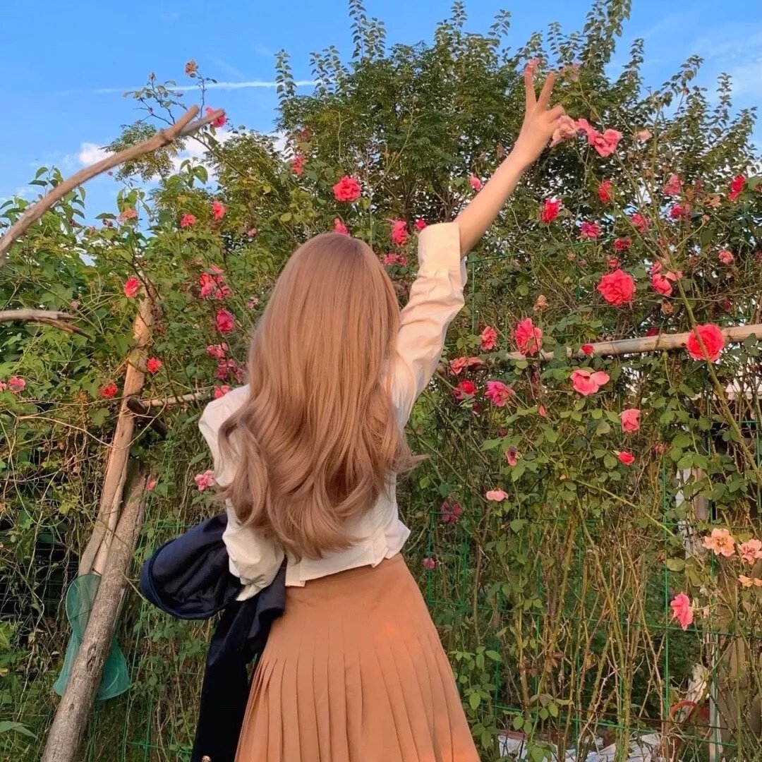 疏雨梧桐浅月朦胧